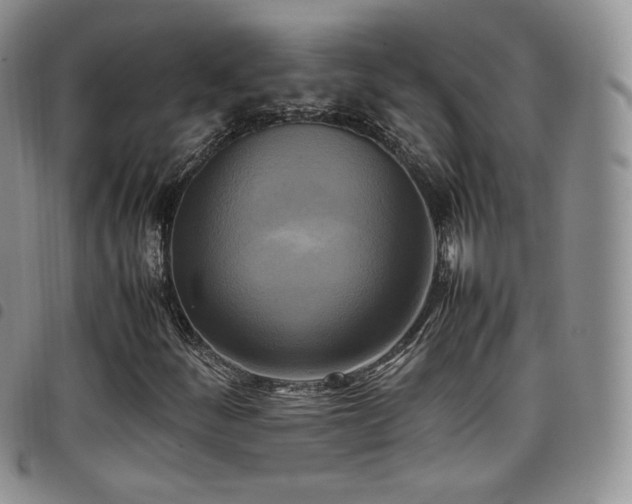 X0000099231252200804241446