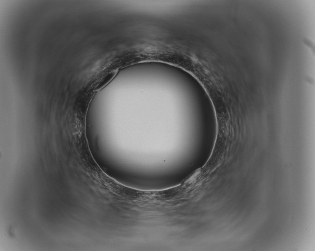 X0000099231253200804241446
