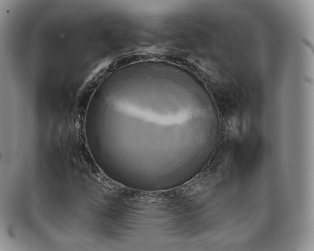 X0000099231254200804241446