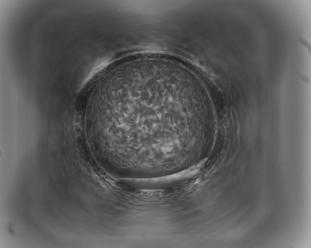 X0000099231255200804241446