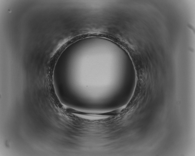 X0000099231256200804241446