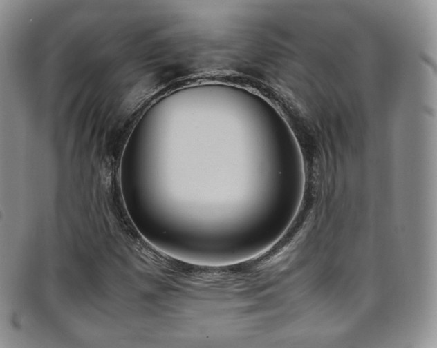 X0000099231257200804241446