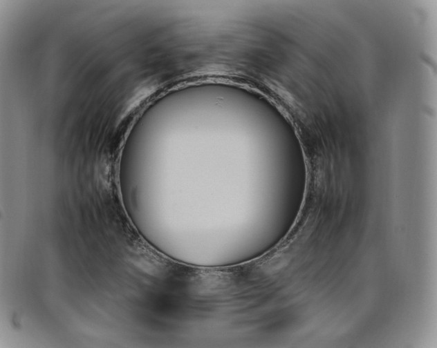 X0000099231258200804241446