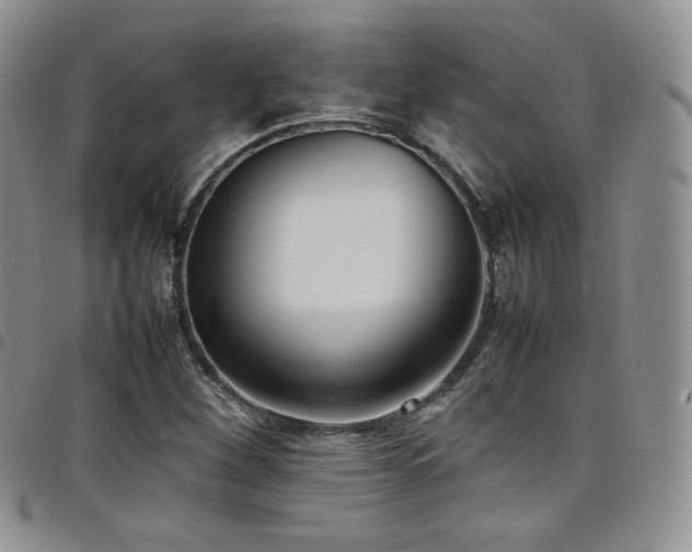 X0000099231260200804241446