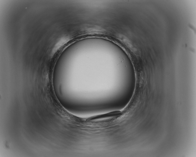 X0000099231261200804241446