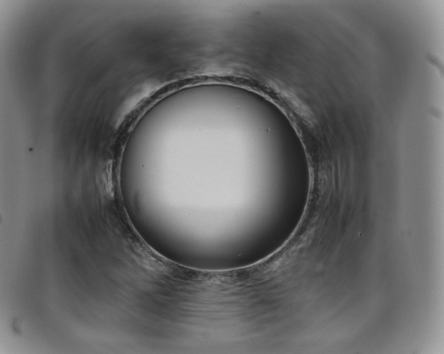 X0000099231262200804241446
