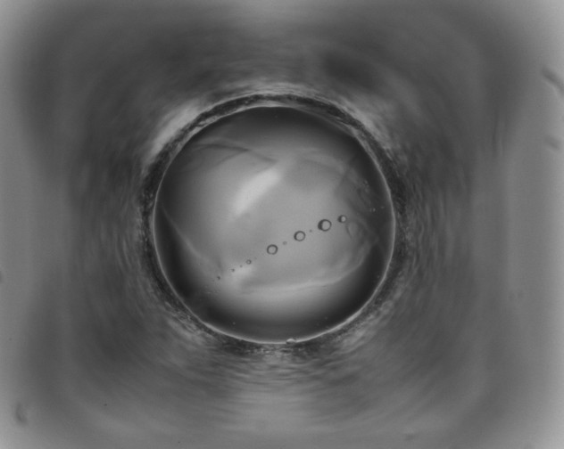 X0000099231263200804241446