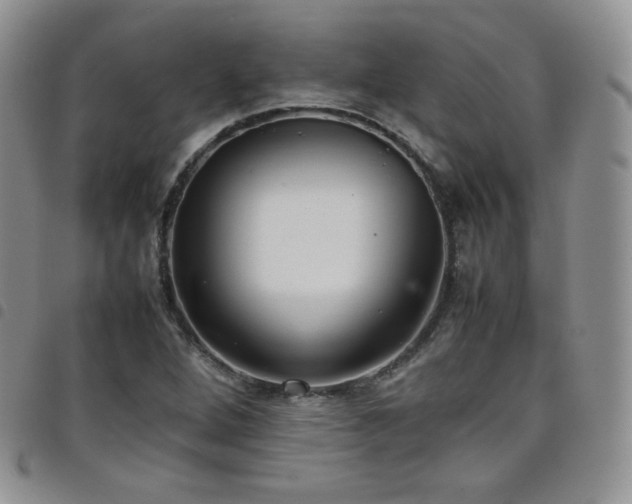 X0000099231264200804241446