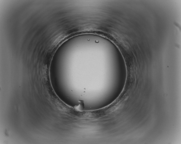 X0000099231265200804241446