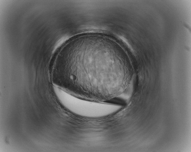 X0000099231267200804241446