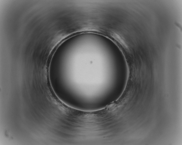 X0000099231268200804241446