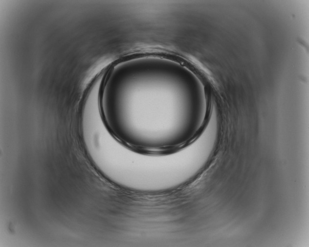 X0000099231269200804241446