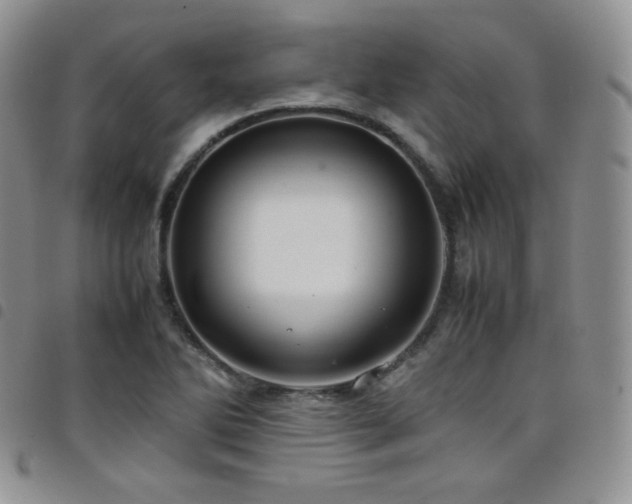 X0000099231270200804241446