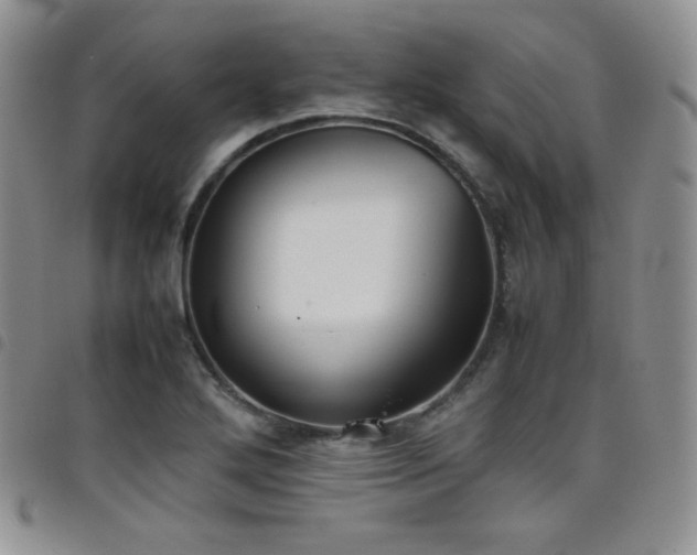 X0000099231272200804241446