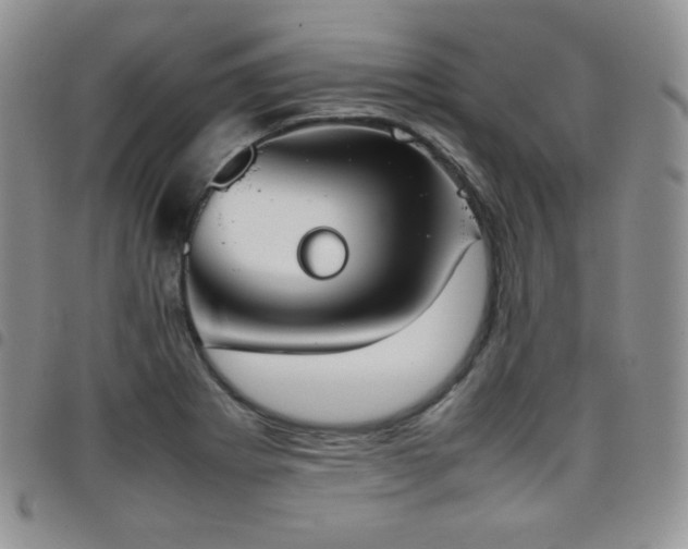 X0000099231273200804241445