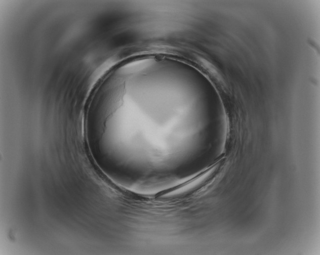 X0000099231275200804241445