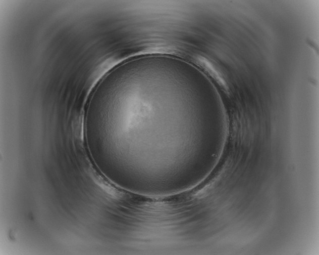 X0000099231276200804241445