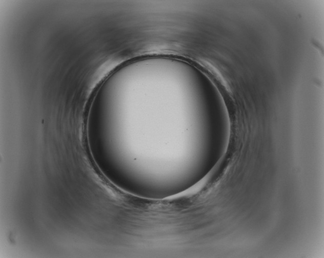 X0000099231277200804241445