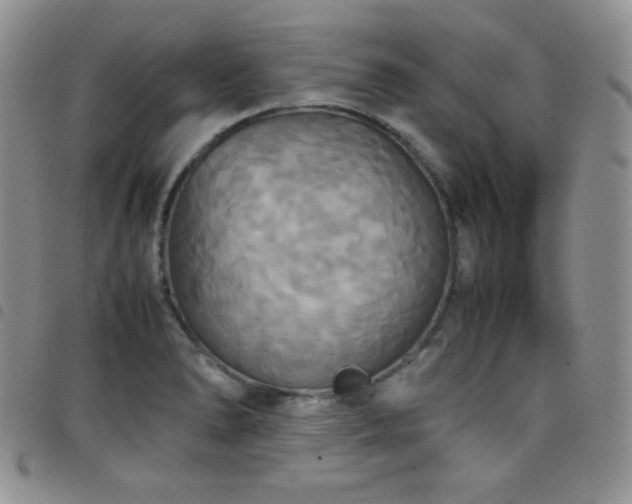 X0000099231278200804241445