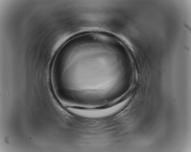 X0000099231279200804241445