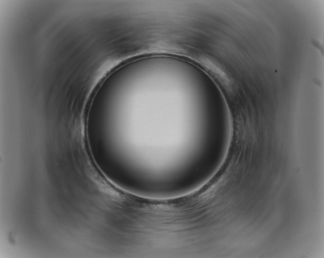 X0000099231280200804241445
