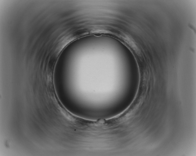 X0000099231281200804241445