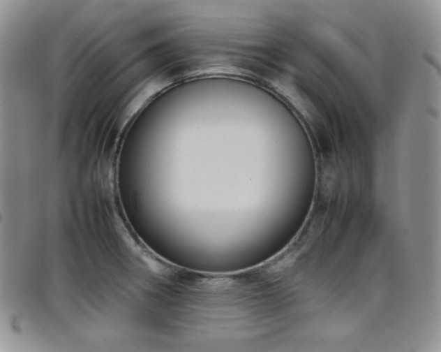 X0000099231282200804241445
