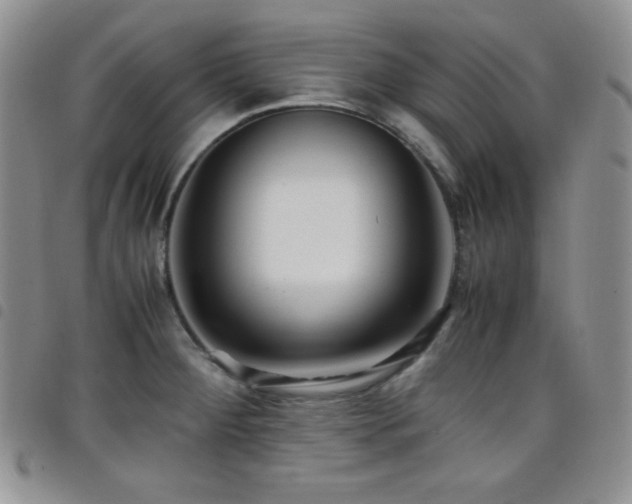 X0000099231284200804241445