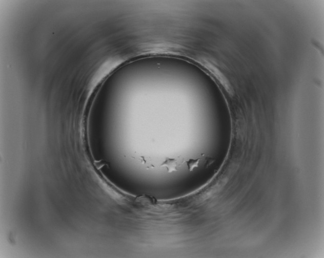 X0000099231285200804241445
