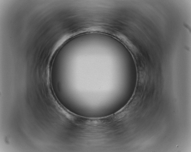 X0000099231286200804241445
