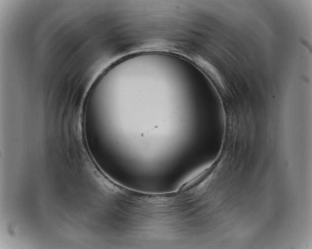 X0000099231288200804241445