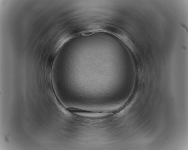 X0000099231289200804241445