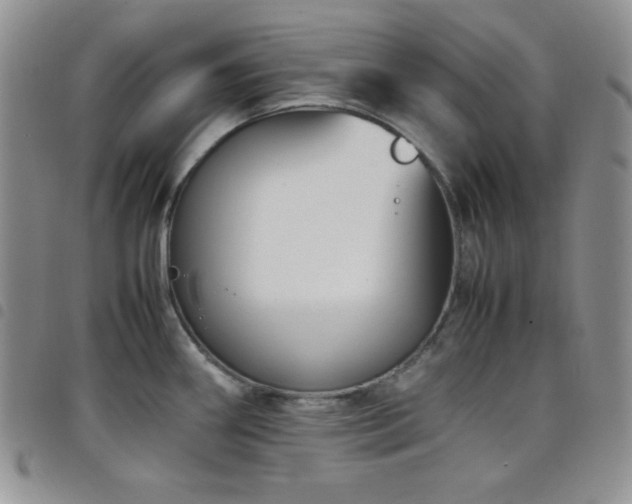 X0000099231290200804241445