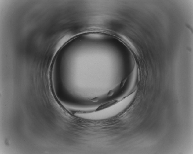 X0000099231291200804241445