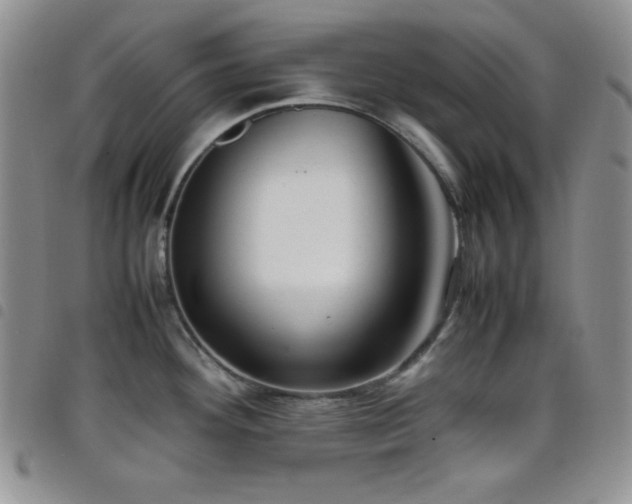 X0000099231292200804241445
