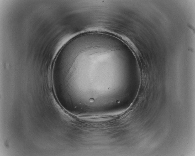 X0000099231295200804241445