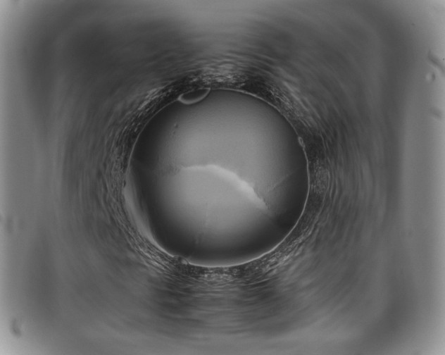 X0000099231297200804241445