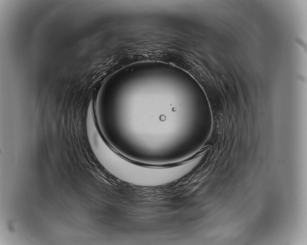X0000099231298200804241445
