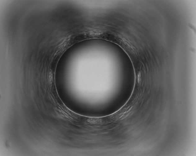 X0000099231299200804241445