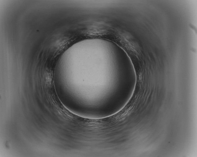 X0000099231300200804241445