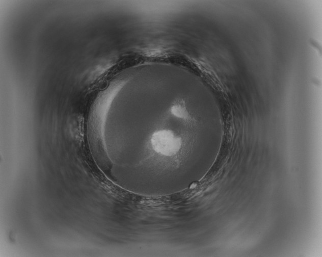 X0000099231301200804241445