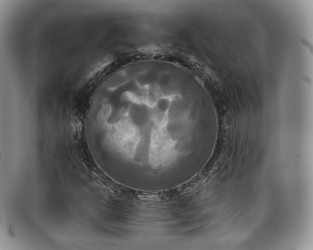 X0000099231302200804241445