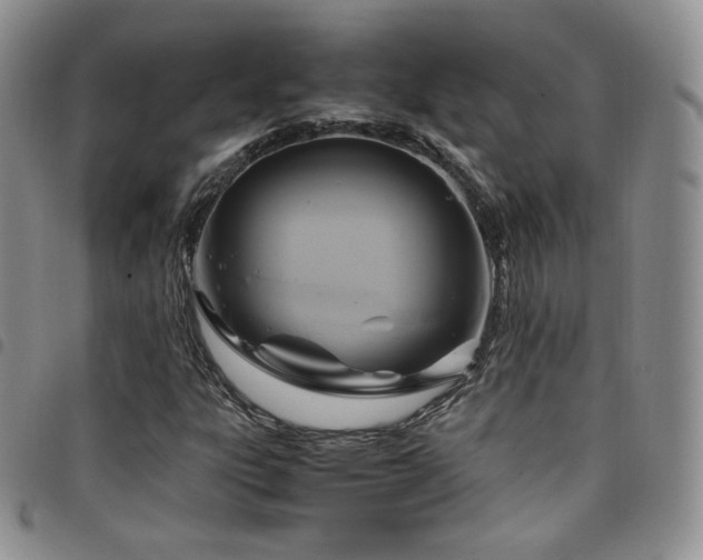 X0000099231303200804241445