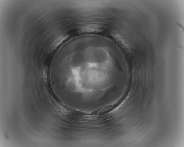 X0000099231305200804241445