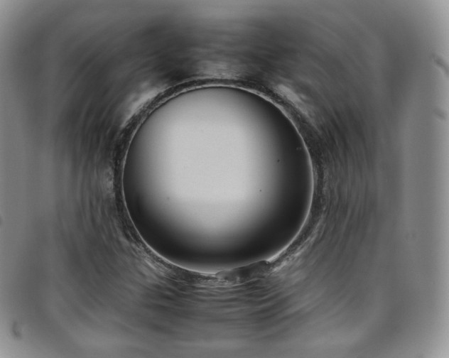 X0000099231307200804241445