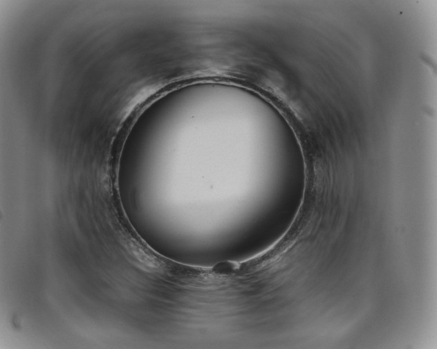 X0000099231308200804241445
