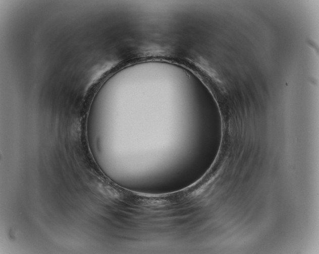 X0000099231309200804241445