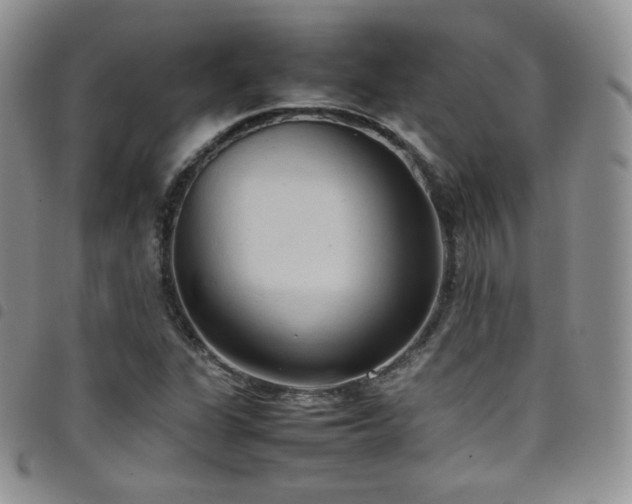 X0000099231311200804241445