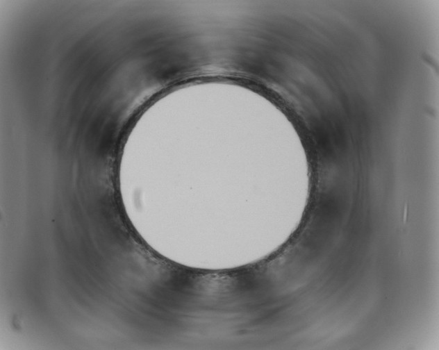 X0000099231314200804241445