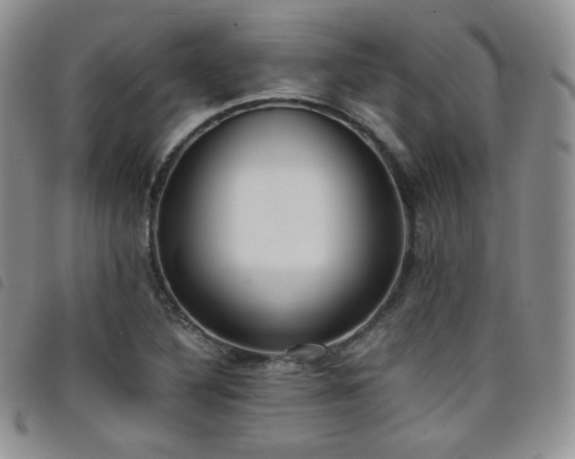 X0000099231316200804241445